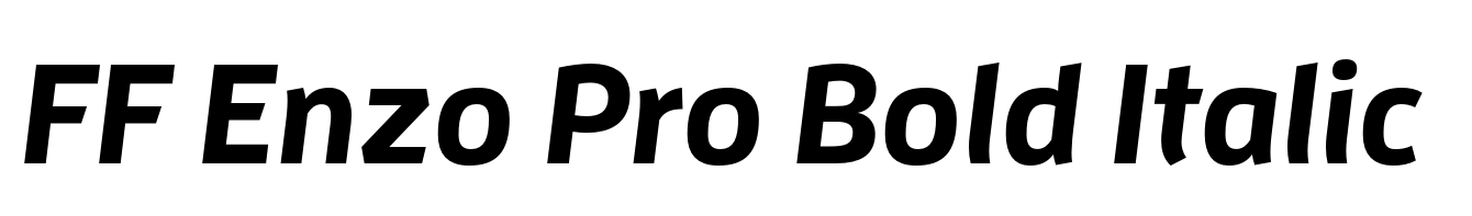 FF Enzo Pro Bold Italic